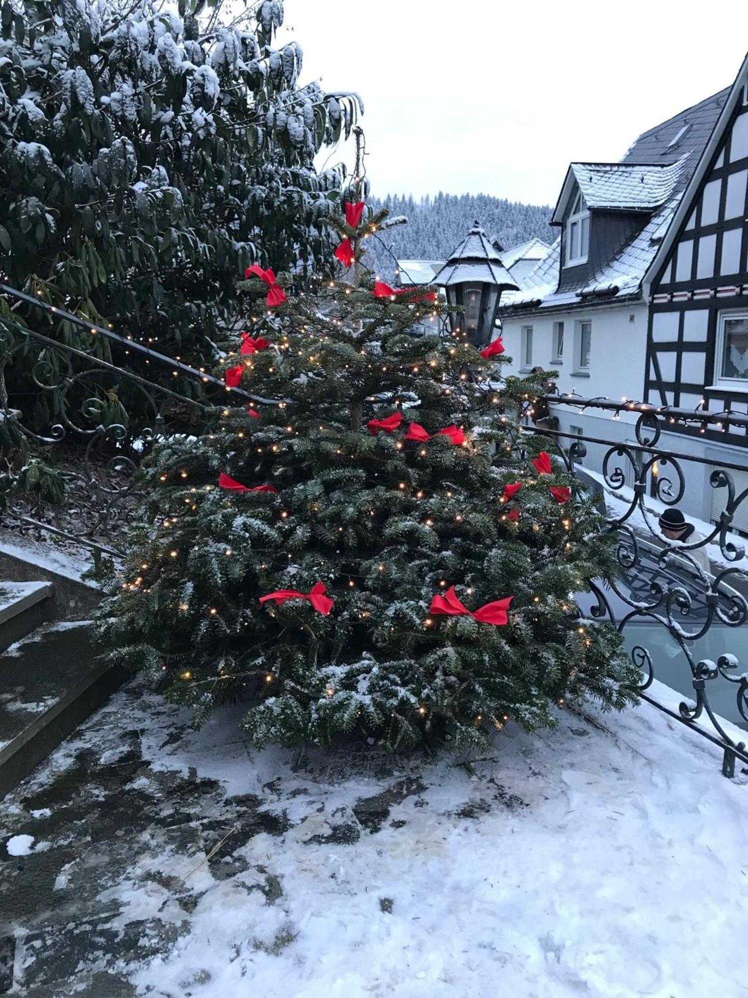 Haus Westfeld Apartment Schmallenberg Luaran gambar